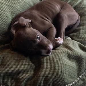 Meet your Posher, Kevin